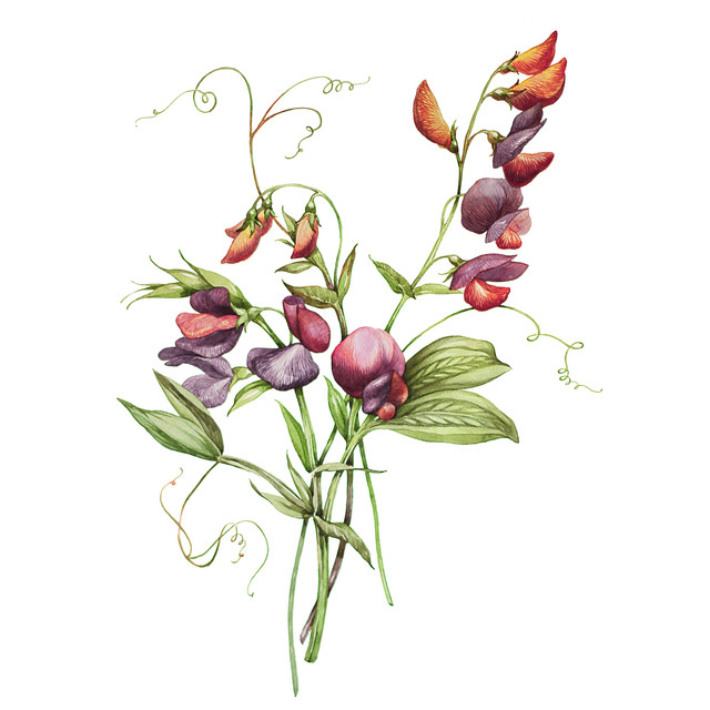 shutterstock-1127767538.jpg