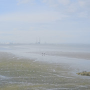DSCF6429