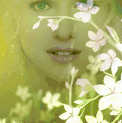 11.gif