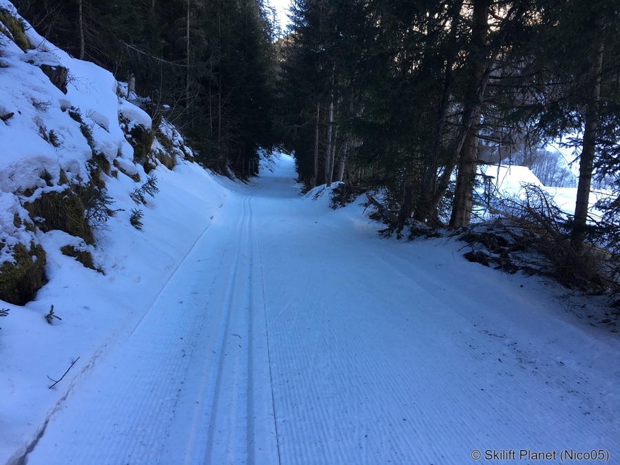 IMG-8444.jpg