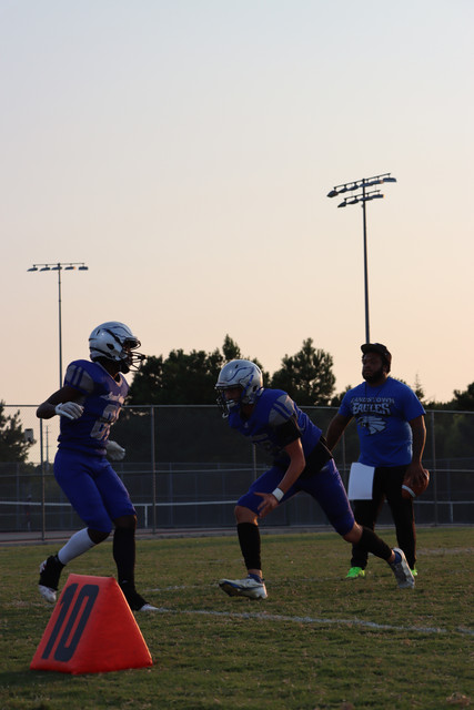 IMG-0260-2
