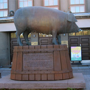 IMG-0994