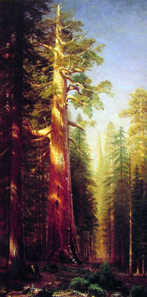 The-Great-Trees.jpg