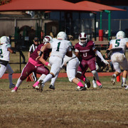 IMG-3126