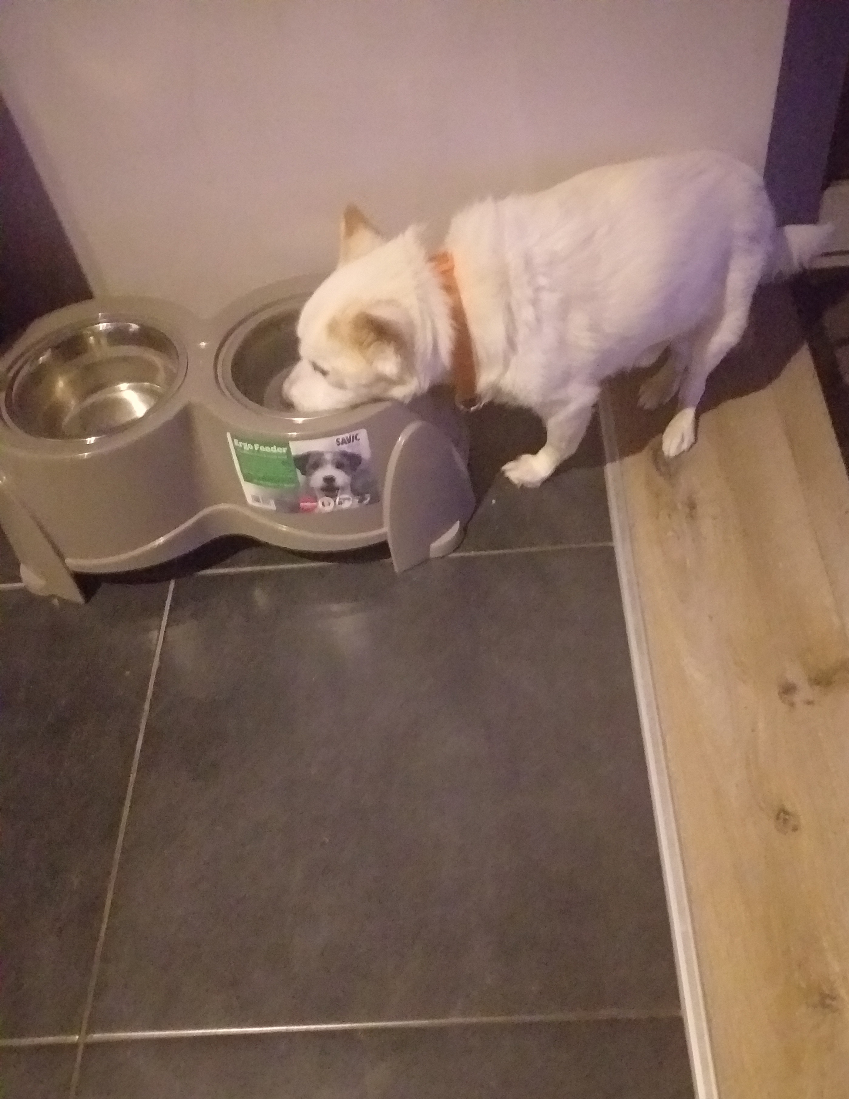 Jack-heeft-dorst.jpg