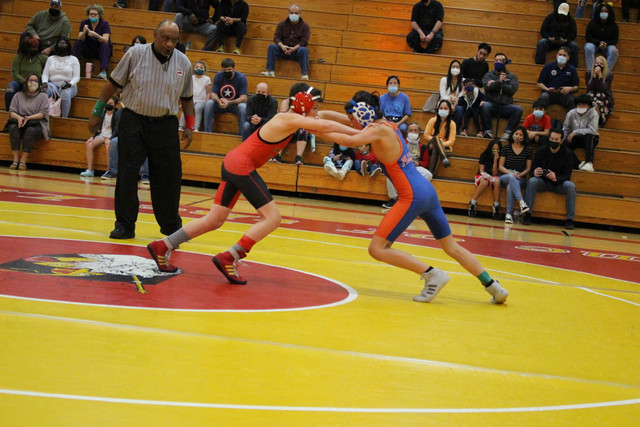 IMG-0066