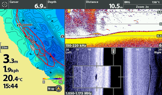 humminbird4