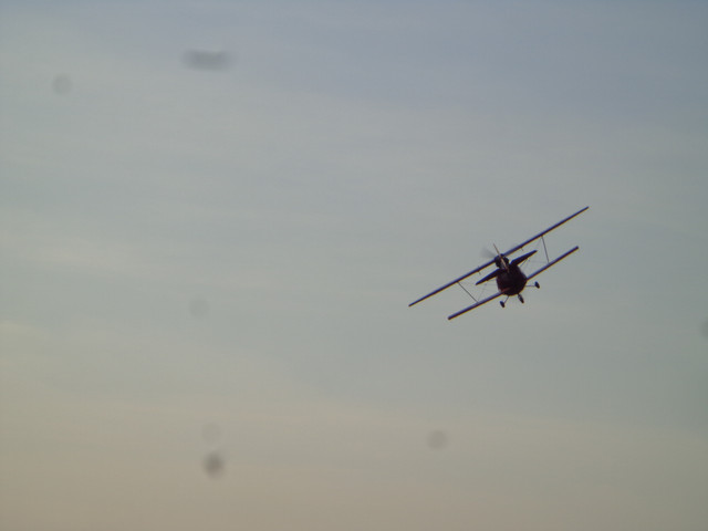 DSC00880.jpg