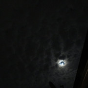 Pmoon-008