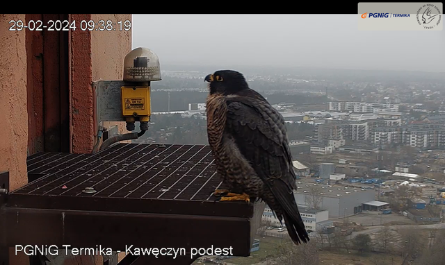29-02-KAW12