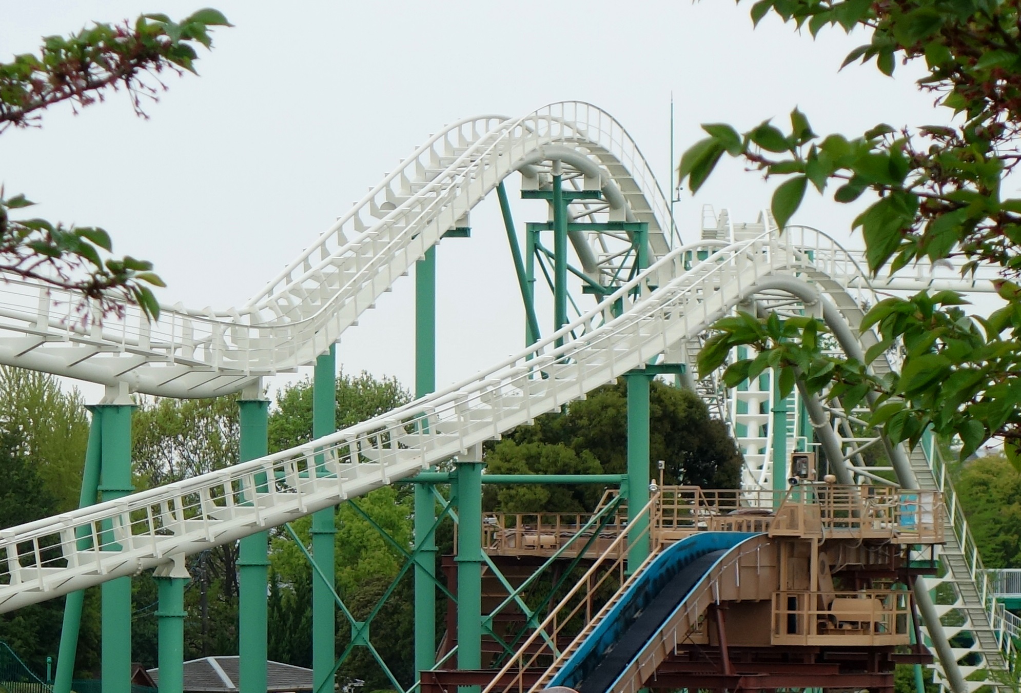 DSC10116