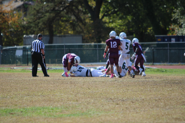 IMG-8250.jpg