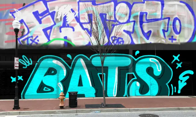 Graffiti artwork by FYC