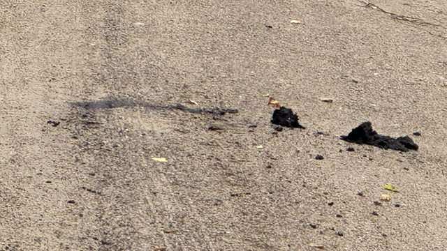 IMG 5629.jpg
