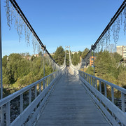 IMG 5910