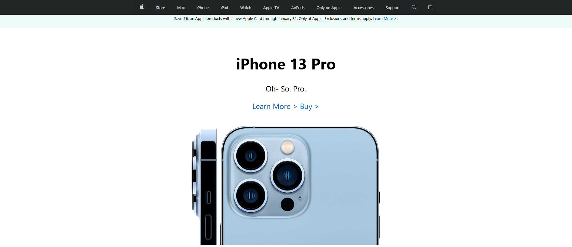 Forensic screenshot of apple-clone-2-jitu.netlify.app showing the phishing page layout