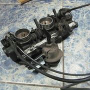 IMG 0437