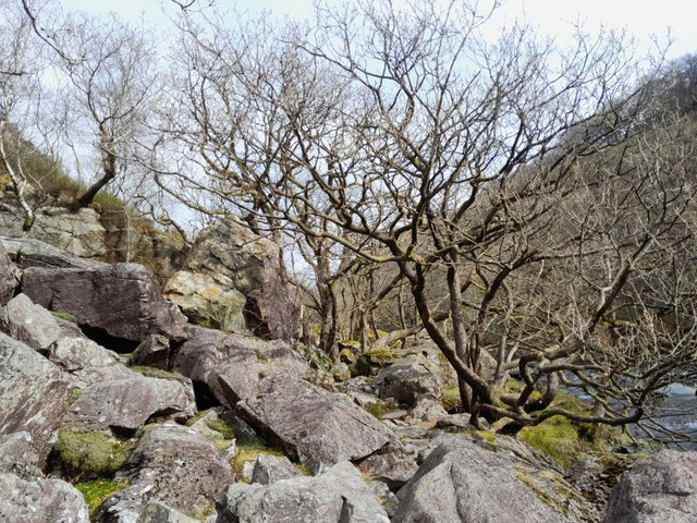 118.jpg