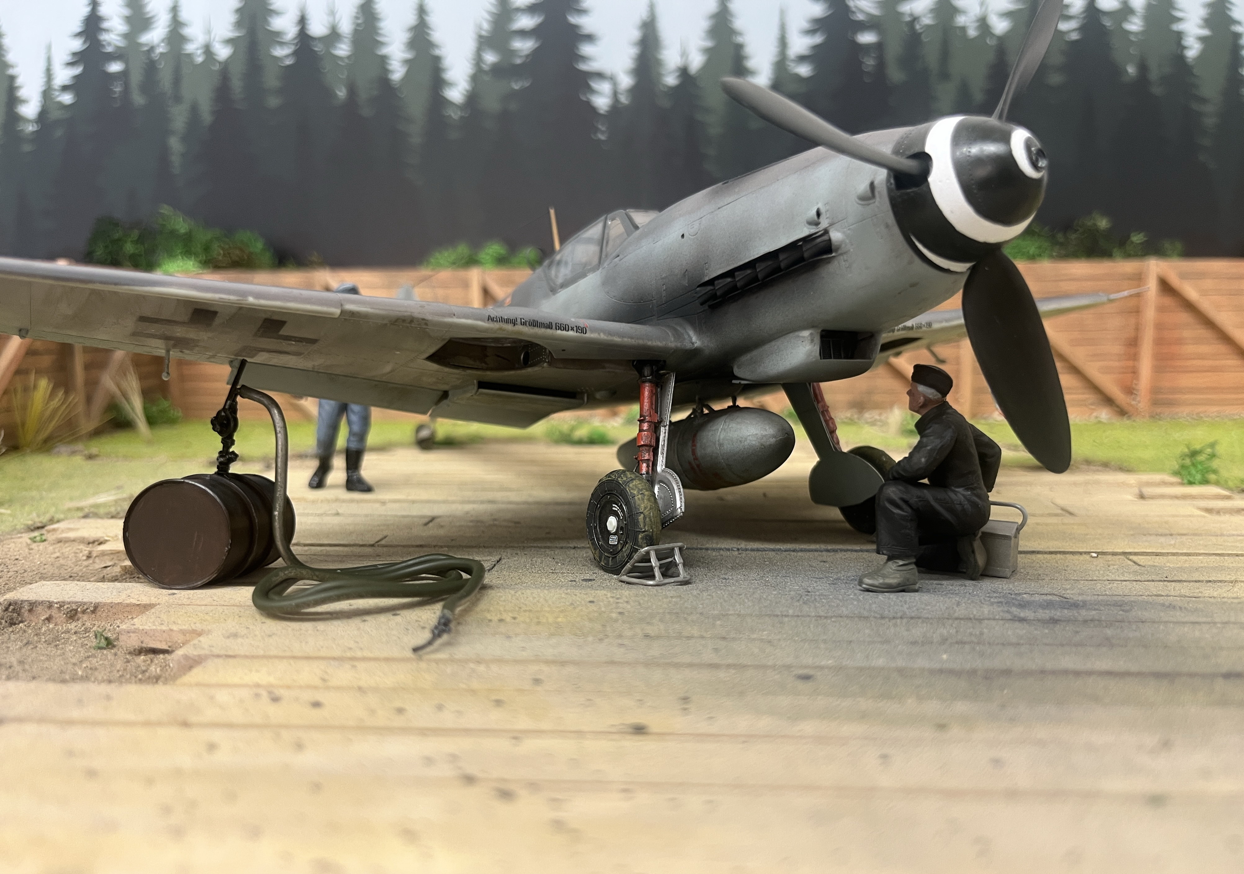 50a.jpg