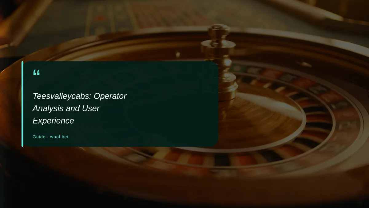 Teesvalleycabs: Operator Analysis and User Experience