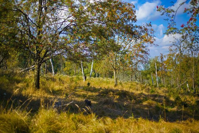IMG-8652