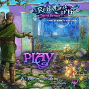 Reflectlife1scr.gif