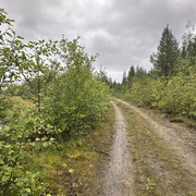 IMG 5191