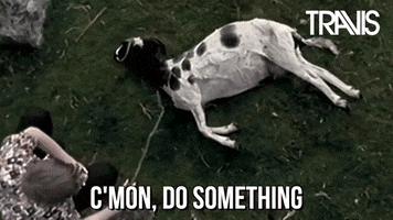 No image preview