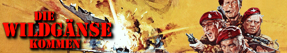 69d539544707.jpg