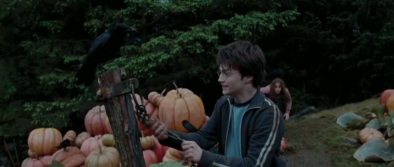 Harry Potter and the Prisoner of Azkaban Screenshot
