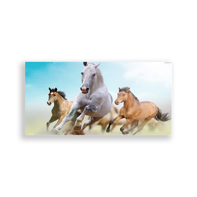 703485-Cavalos-Ana