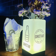 Ginstar5