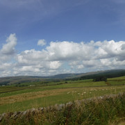 DSCF0208