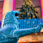 IMG 4271