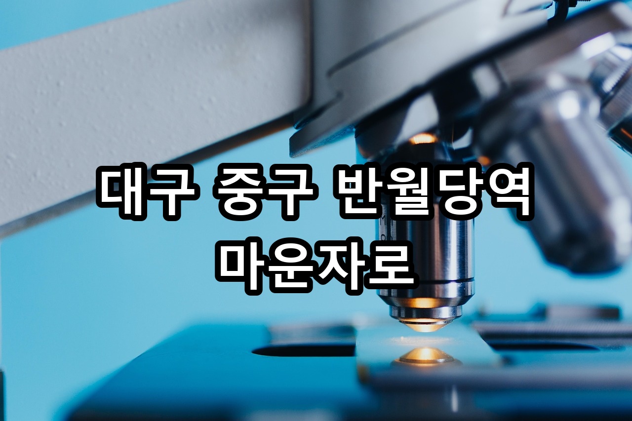대구 중구 반월당역 마운자로 안내