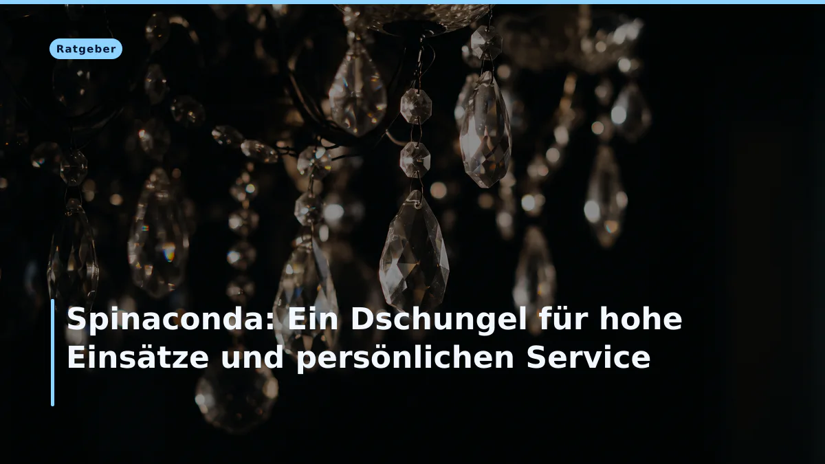 Spinaconda: Ein Dschungel für hohe Einsätze und persönlichen Service