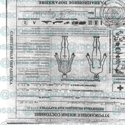 [Image: file3.png]