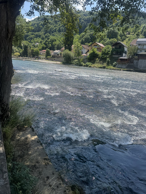 IMG-4249