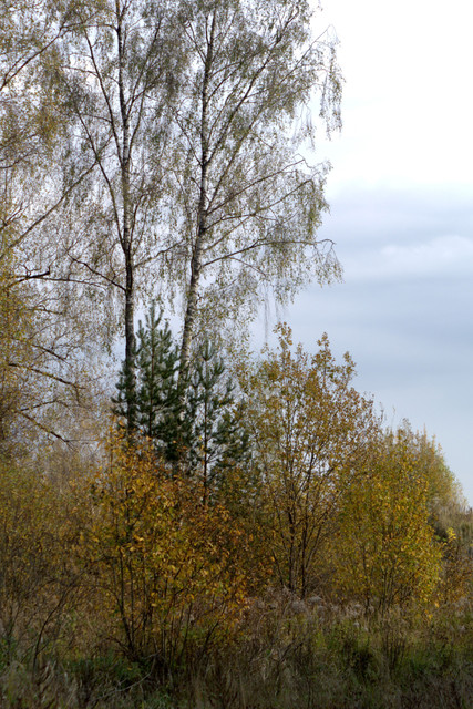 DSC7360-result.jpg