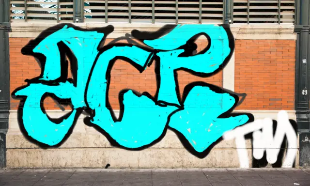 Graffiti artwork by ACE