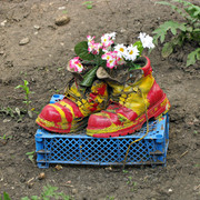 2010 год