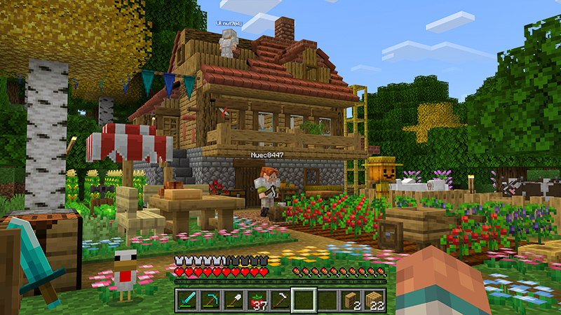 Image 5