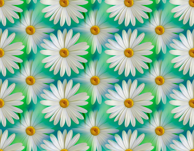 shutterstock-2469474303.jpg