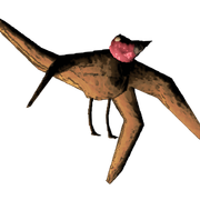 Vautour
