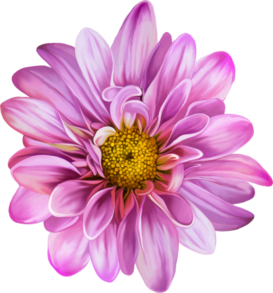Flowers-7.png