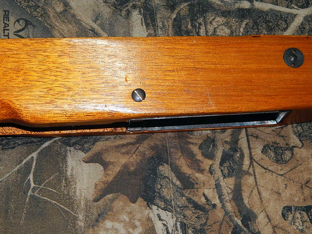 DSCN4634