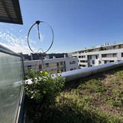 IMG-2918