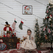 IMG 4171
