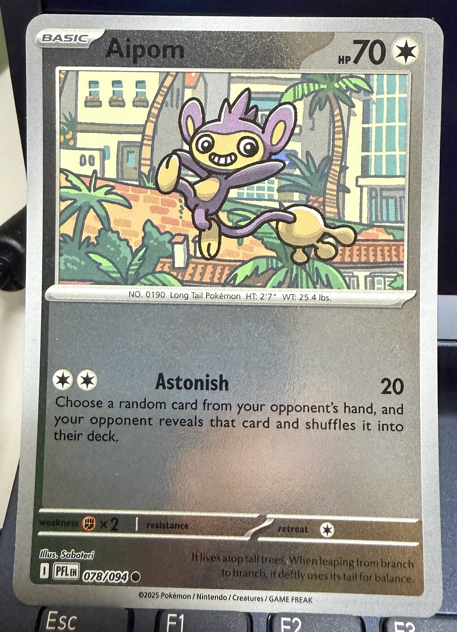 Aipom