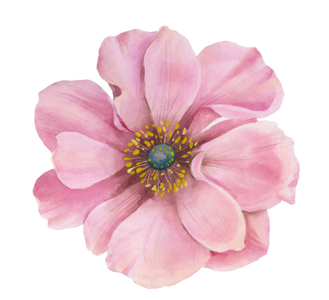 shutterstock 2218998075.jpg